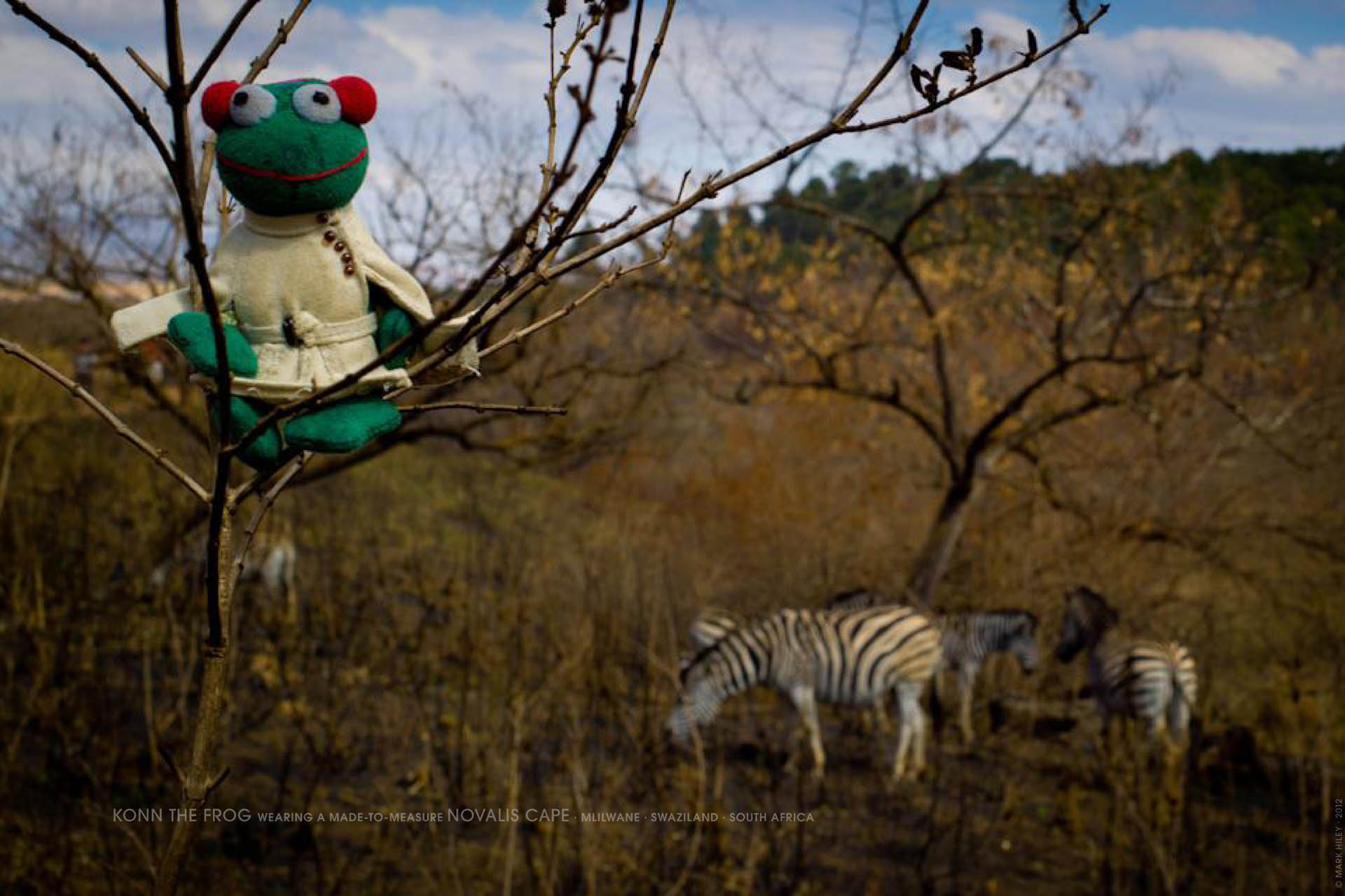 Mark Hiley's KONN THE FROG wearing a made to measure Novalis Cape, Mlilwane, Swaziland, South Africa